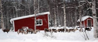 Stugområde i vinterbetesland