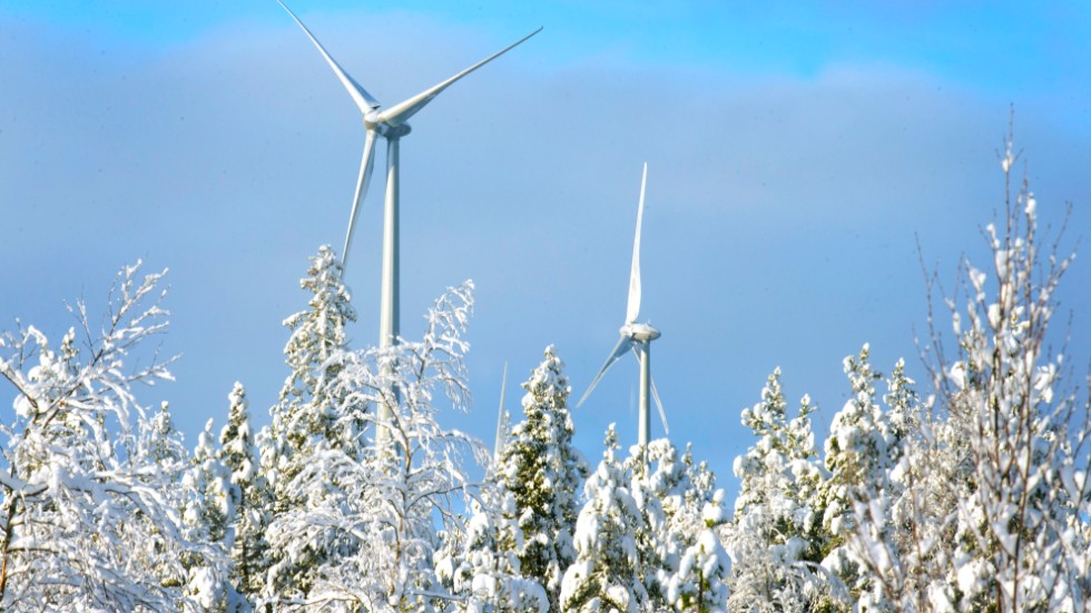 På onsdagen fick den planerade vindkraftsparken på Hällberget klartecken från miljöprövningsdelegationen, men bara till 56 av begärda 123 vindkraftsverk. Nu befaras hela miljardsatsningen i Överkalix kommun att vara i fara. 
