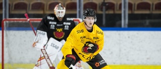 Sellgren har utmärkt sig i Luleå Hockey: "Har ännu mer i sig"