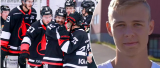 Kalix Hockey värvar tjeckisk back