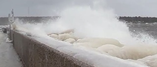VIDEO: Se stormvindarna vid havet i Sikhjälma