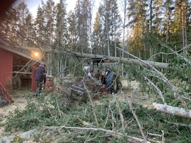 Sju träd föll intill ladugårdsbyggnaden. Ett av dem landade på traktorn och vindskyddet bakom. 