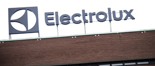 Electrolux säljer fabrik i Memphis