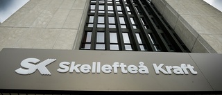 Dela ut delar av Skellefteå Krafts vinst till skellefteborna