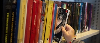 Arjeplogs bibliotek får halv miljon i bidrag