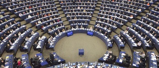 EU-valet: Europaparlamentet – folkets makthavare