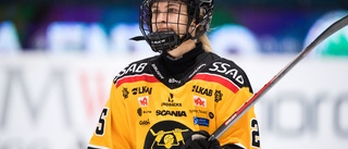 Talangen från Överkalix stannar i Luleå Hockey – motiveras av konkurrensen: "Ska vara tufft att ta en plats"