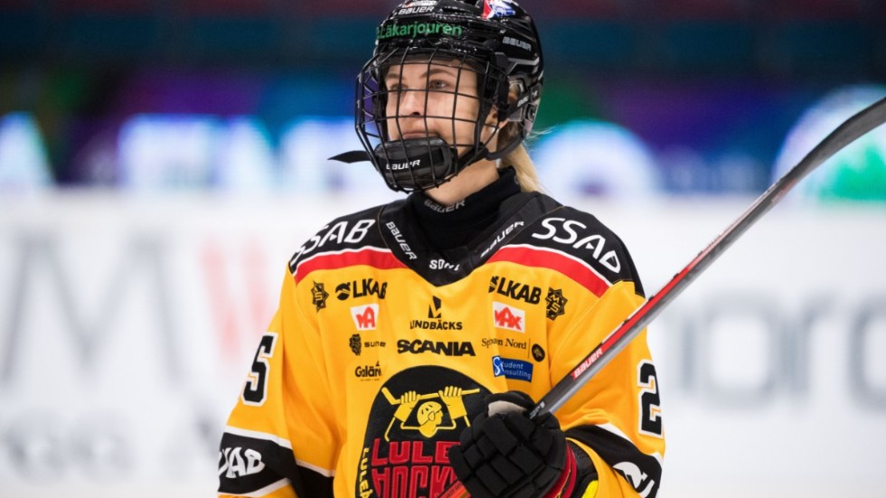 SHL Rogle BK Nils Hoglander : r/hockeyjerseys