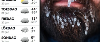 Så kallt var det i Skellefteområdet under natten och så stiger temperaturen till helgen