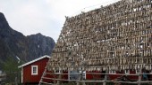 Oväntat stark tillväxt i Norge