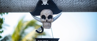 Piratkopiering slår ut 2500 jobb i Östergötland