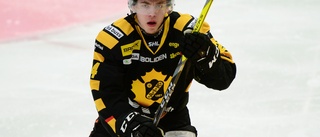 Stor draftspecial: Här är AIK-talangerna som kan gå i NHL-draften