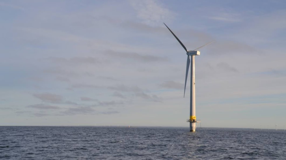 Debattörerna vill att regeringen snabbt fattar beslut om havsbaserad vindkraft. 