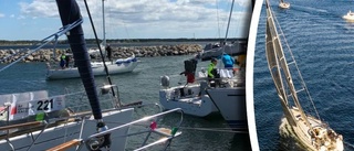Fler har brutit kappseglingen Offshore Race