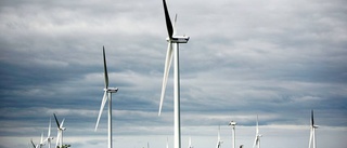Ön ledande i smartare styrning av vindkraft