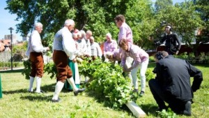 HELA LISTAN: Här kan du fira midsommar på Gotland