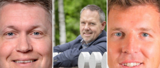 Tre nya namn hos Almi Nord: ”Vill hjälpa företagen i Västerbotten att utvecklas”