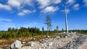 Strid om vindkraft på Hällberget går vidare till nästa instans