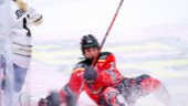 Kallduscharna fällde Luleå Hockey: "Hårt straffade"