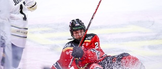 Kallduscharna fällde Luleå Hockey: "Hårt straffade"