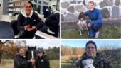 Lokalkändisarna som har husdjur: "Han är verkligen en familjemedlem, en av oss"