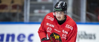 Luleå Hockey lånar ut forwarden: "Han behöver speltid"