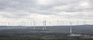 Omstridd vindkraftspark halveras