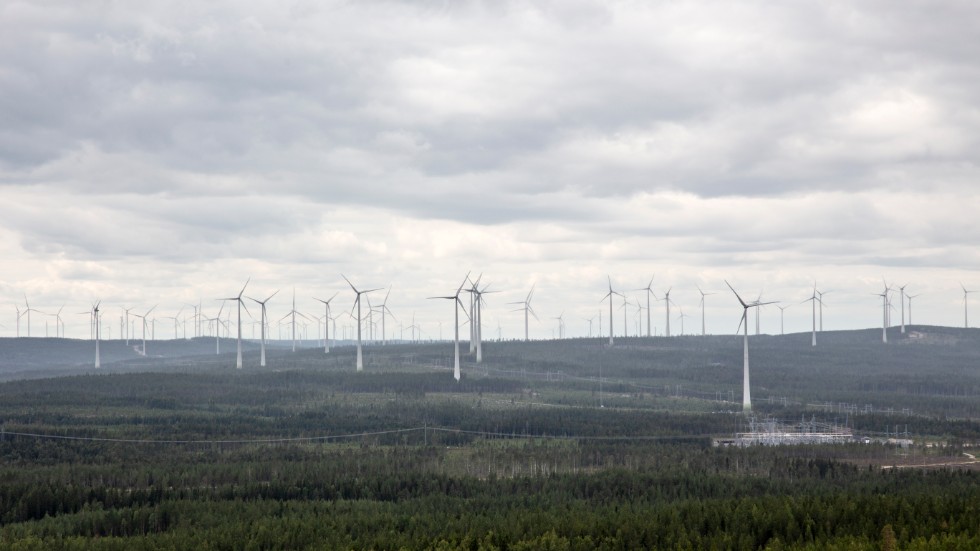 Vindkraftverk, här sedda från berget Kalahatten i Piteå kommun.