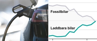 Rekordstort intresse för att köpa elbil i Skellefteå – lika många som fossilbilarna • Spår fortsatt ökning