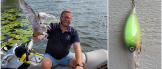 Robert räddade måsungen – hade fastnat i fiskedrag: "Huvudet var under ytan"