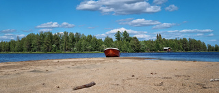 Bildextra läsarnas bilder: Sommarvärme, växtkraft och svalkande bad