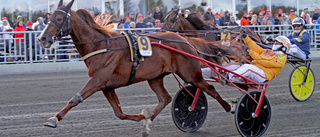 Jackpott till Bodentravets V75-omgång