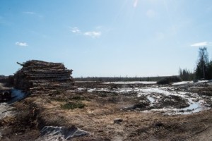 Nyheter u2013 Kuriren