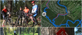 Ny led för mountainbike i Piteå: "Väldigt teknisk bana"