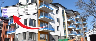 Stora kartläggningen visar: Skellefteå har störst ökning på lägenhetspriser i landet • Nya medelpriset: 1 840 000 kronor