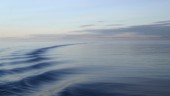 Tyst hav – en väckarklocka för havsmiljön
