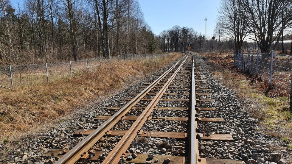 Trädfria järnvägsrälsar är en förutsättning för att resandet ska fungera, menar skribenterna och berättar att det inte är rimligt att tåg ska behöva ställas av ett stort antal dagar på grund av trädpåkörningar.
