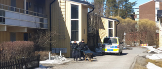 Två personer gripna efter stor polisinsats på Porsön • Polisen: "Förundersökning pågår"