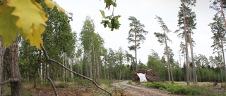Norrköpings miljövision klingar inte i Klinga
