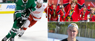 Finländarna tror på succé för Luleå Hockeys prestigevärvning