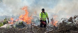 25 hektar eldades upp – för naturens bästa