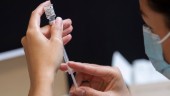 Vad fick Bryngelstorp att toppa vaccinationslistan?