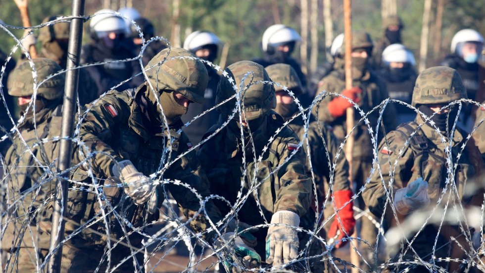 Polska poliser och gränsvakter vid taggtrådsstängslet på gränsen mot Belarus som migranter försökt ta sig förbi för att komma in i EU.
