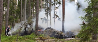 Flera skogsbränder efter åsknedslag