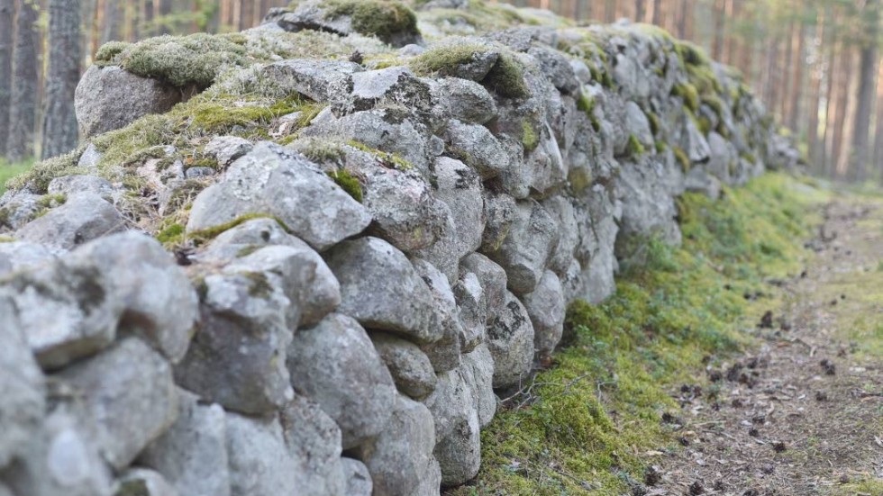 Stenriket på Björkesnäs utanför Djursdala omringas av en cirka 300 meter lång stenmur som består av drygt 500 kubikmeter sten.