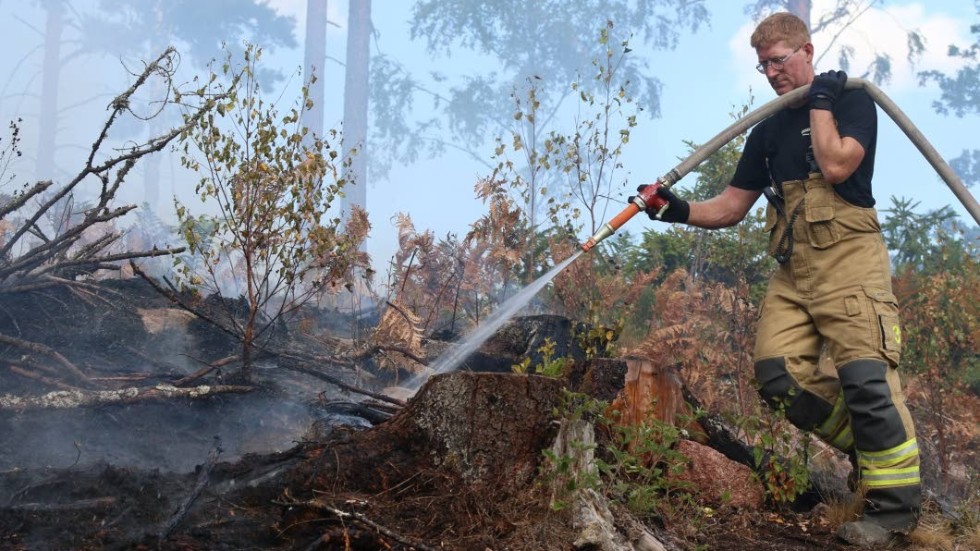 Den varma och torra sommaren 2018 kom att bli de många skogsbrändernas sommar. Torka i kombination med många åskväder gjorde att brandmännen fick slita hårt.
