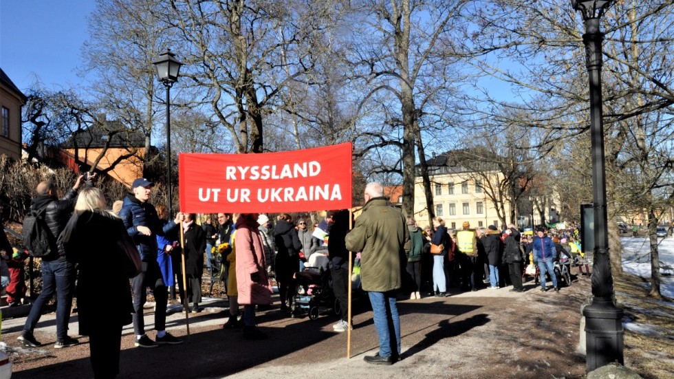 Demonstration Ukraina 