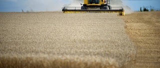 Utan subventioner faller jordbruket