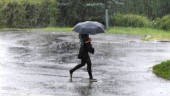 Södra Vi fick mest regn i landet