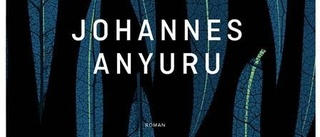 Språket skimrar i Anyurus nya bok